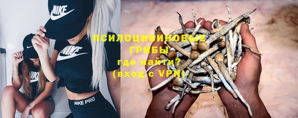 не бодяженный Няндома